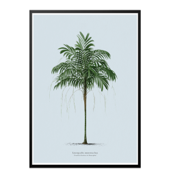 Vintage palme plakat. Lys bl