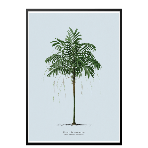 Vintage palme plakat. Lys bl