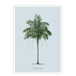Vintage palme plakat. Lys bl