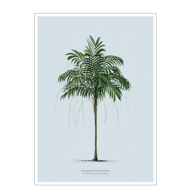 Vintage palme plakat. Lys bl