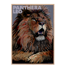 Panthera  Leo