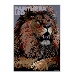 Panthera  Leo