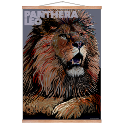 Panthera  Leo