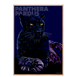 Panthera  Pardus