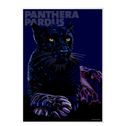 Panthera  Pardus