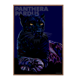 Panthera  Pardus