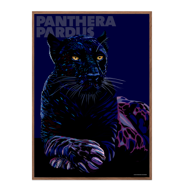 Panthera  Pardus