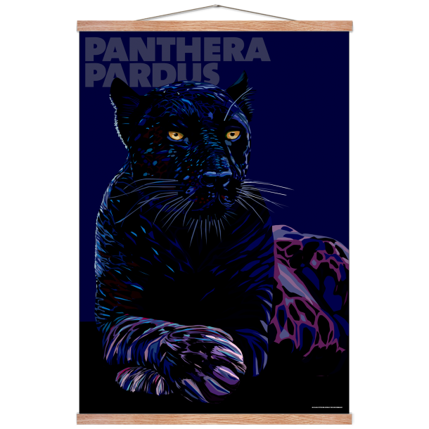 Panthera  Pardus