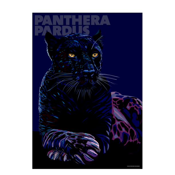 Panthera – Pardus