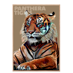 Panthera  Tigris