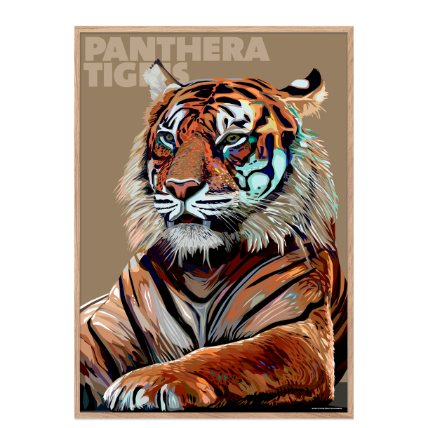 Panthera  Tigris