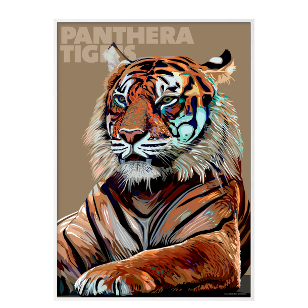 Panthera  Tigris