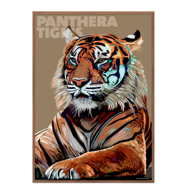 Panthera  Tigris