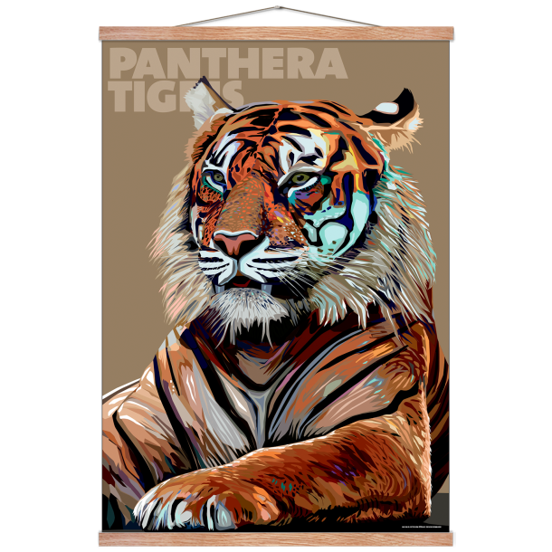Panthera  Tigris