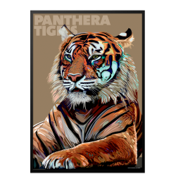 Panthera  Tigris