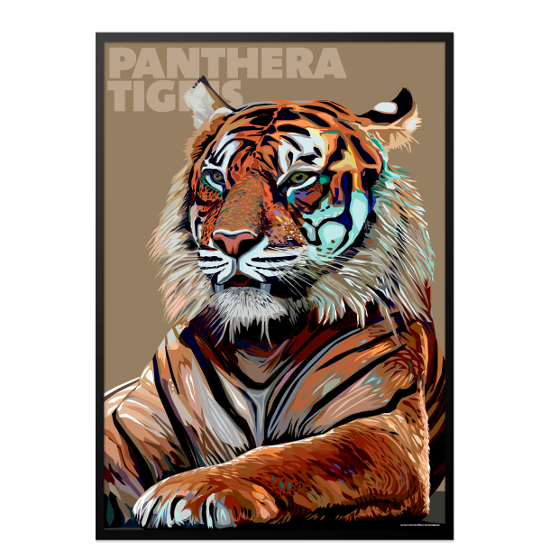 Panthera  Tigris