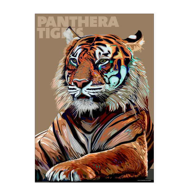 Panthera  Tigris