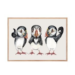 Puffins with hand signs. MSM