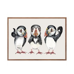 Puffins with hand signs. MSM
