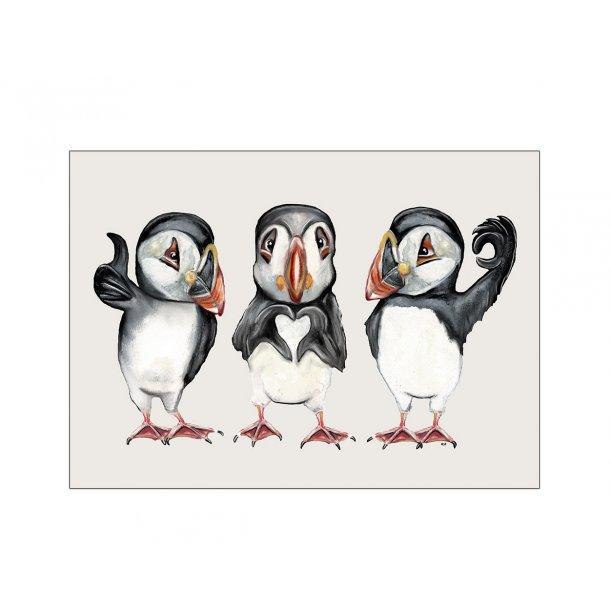 Puffins with hand signs. MSM