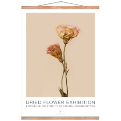 Rose flower. Dried Flower exhibition