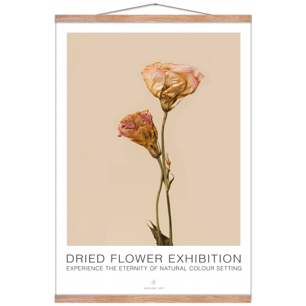 Rosa blomst. Dried Flower exhibition