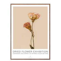 Rose flower. Dried Flower exhibition