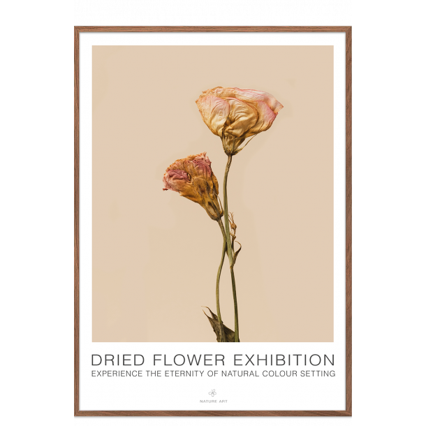 Rosa blomst. Dried Flower exhibition