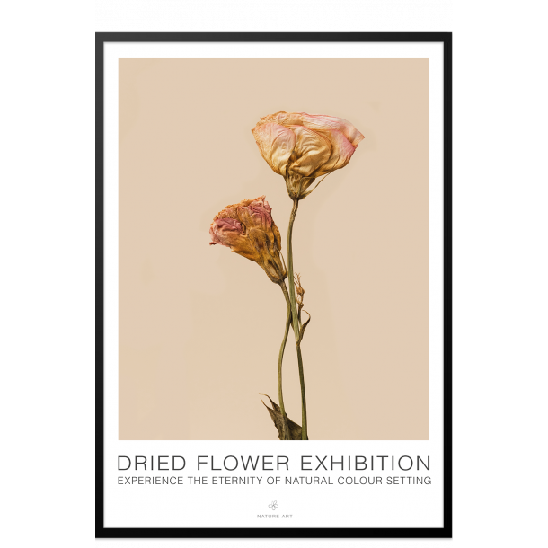 Rosa blomst. Dried Flower exhibition