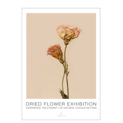 Rose flower. Dried Flower exhibition