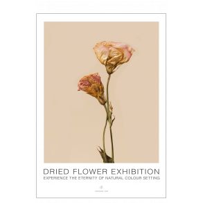 Rosa Blume. Ausstellung getrockneter Blumen