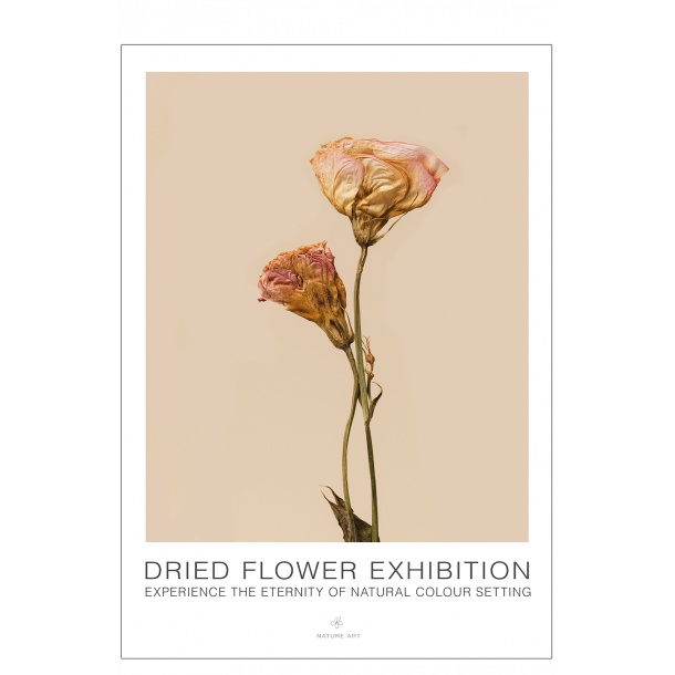 Rosa blomst. Dried Flower exhibition