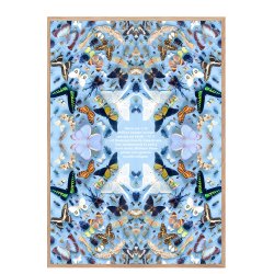 Sommerfugle med tekst, Helene Toresdotter