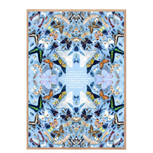 Sommerfugle med tekst, Helene Toresdotter