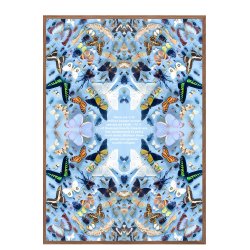 Sommerfugle med tekst, Helene Toresdotter