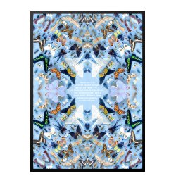 Sommerfugle med tekst, Helene Toresdotter