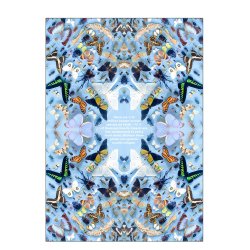 Sommerfugle med tekst, Helene Toresdotter