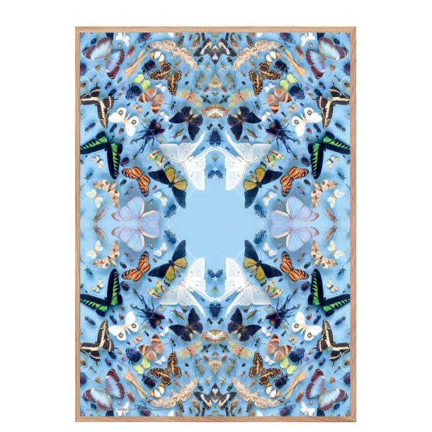 Flere sommerfugle, Helene Toresdotter