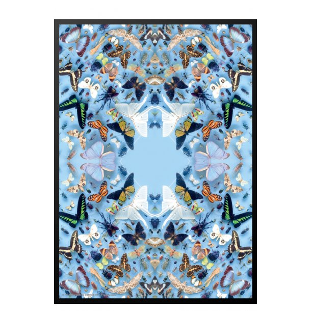 Flere sommerfugle, Helene Toresdotter