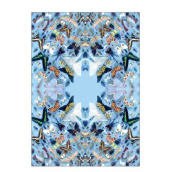 Flere sommerfugle, Helene Toresdotter