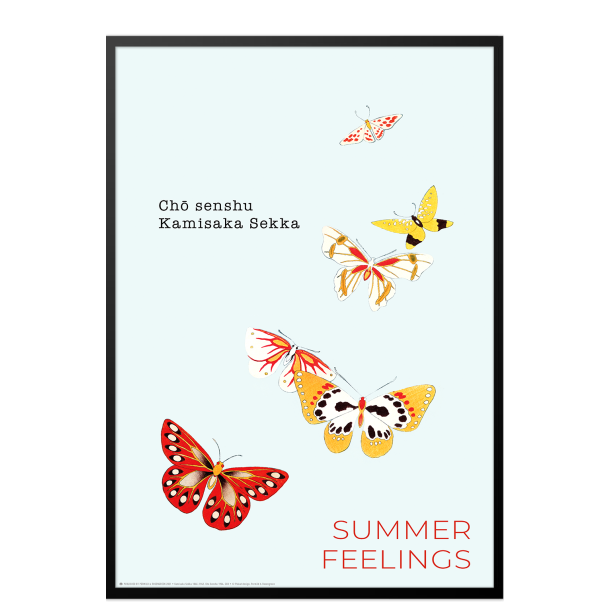 Sommerfugleplakat. Kamisaka Sekka (red)