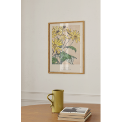 Sunflower. Hannah Borger Overbeck