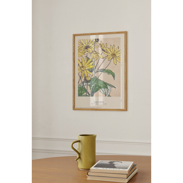 Sunflower. Hannah Borger Overbeck