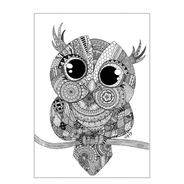 Owl poster. Doodle illustration