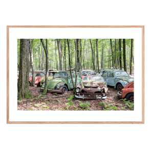 Beetle heaven. Abandoned places