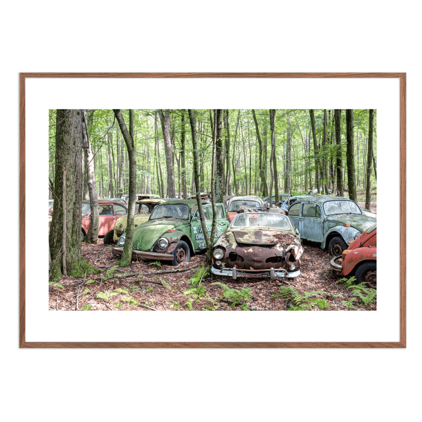 Beetle heaven. Forladte steder