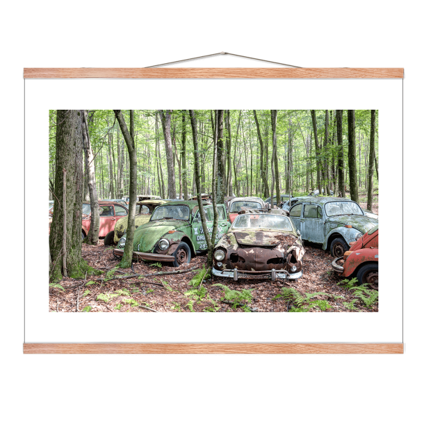 Beetle heaven. Forladte steder