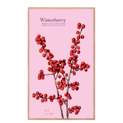 Winterberry. Rose
