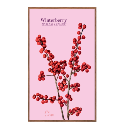 Winterberry. Rose