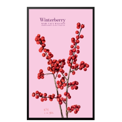 Winterberry. Rose
